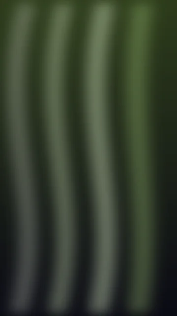 Muted Olive aurora phone wallpaper — free HD muted olive mobile wallpaper 1080x1920