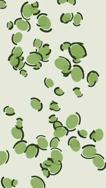 Muted Olive leopard phone wallpaper — free HD muted olive mobile wallpaper 1080x1920
