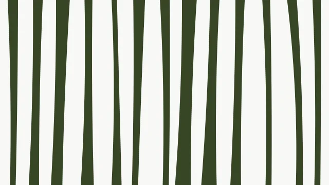 Muted Olive zebra print background — free HD muted olive color wallpaper 1920x1080