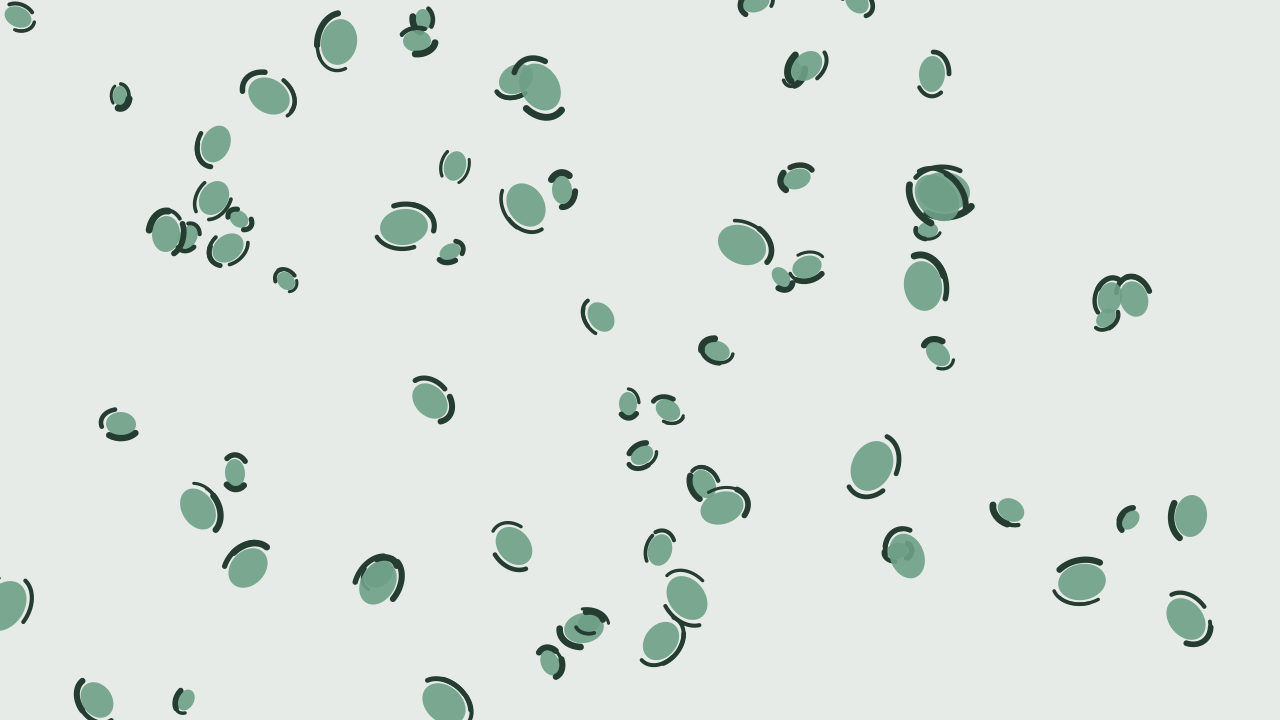 Muted Teal leopard print background — free HD muted teal color wallpaper 1920x1080