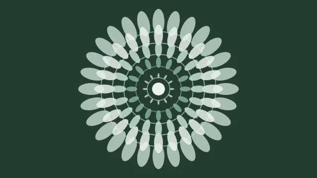 Muted Teal mandala background — free HD muted teal color wallpaper 1920x1080