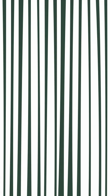 Muted Teal zebra phone wallpaper — free HD muted teal mobile wallpaper 1080x1920