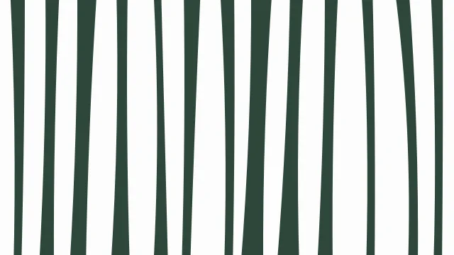 Muted Teal zebra print background — free HD muted teal color wallpaper 1920x1080