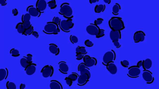 Navy leopard desktop wallpaper — free 4K navy wallpaper 3840x2160