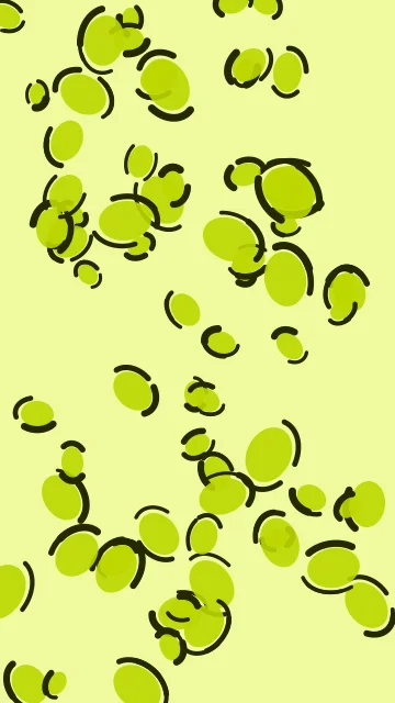 Neon Chartreuse leopard phone wallpaper — free HD neon chartreuse mobile wallpaper 1080x1920
