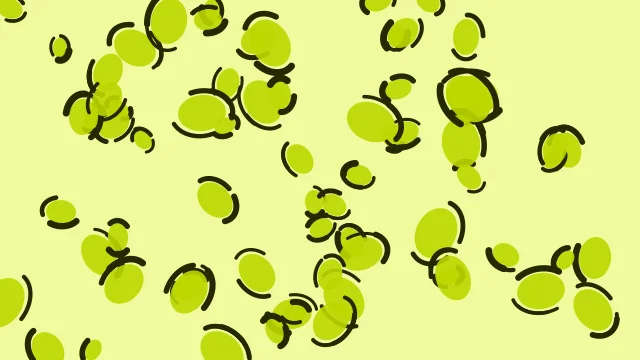 Neon Chartreuse leopard print background — free HD neon chartreuse color wallpaper 1920x1080