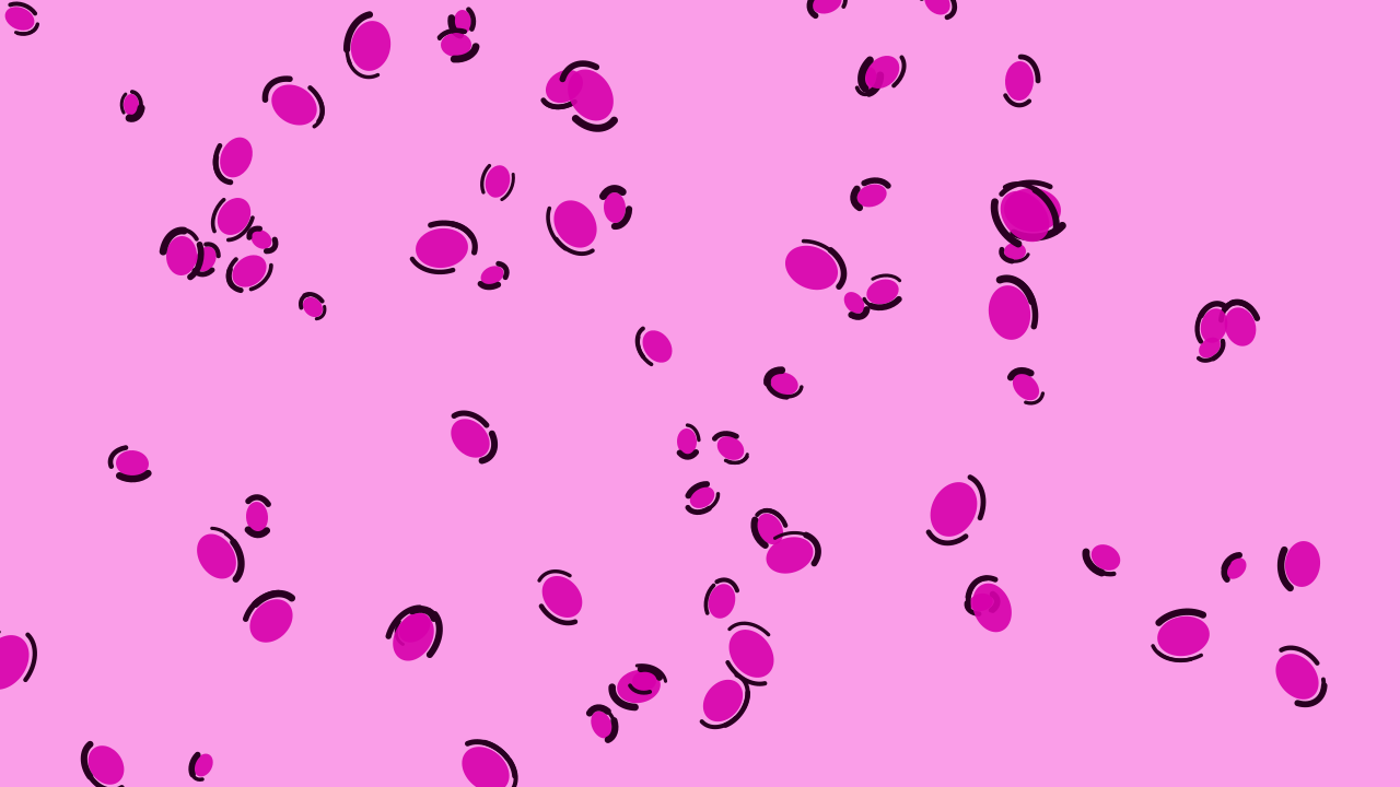 Neon Rose leopard print background — free HD neon rose color wallpaper 1920x1080