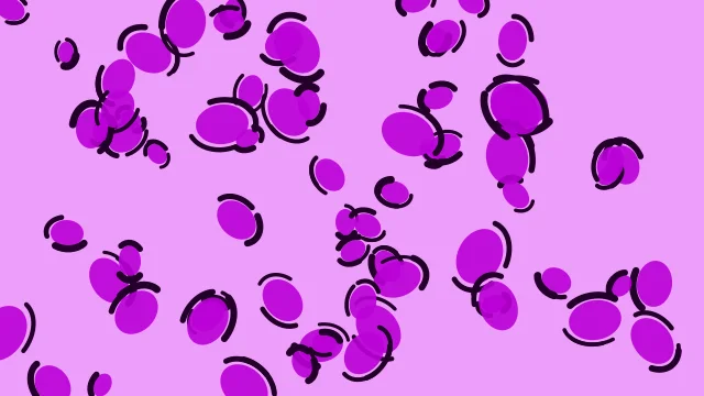Neon Violet leopard print background — free HD neon violet color wallpaper 1920x1080