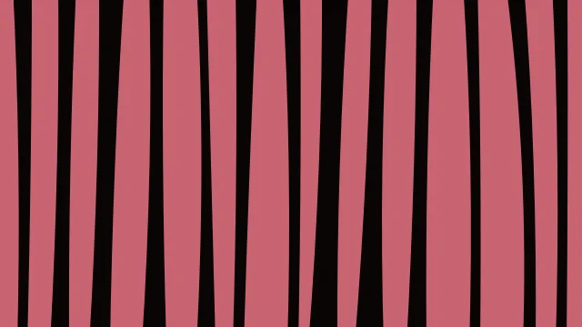 Night Bordeaux zebra desktop wallpaper — free 4K night bordeaux wallpaper 3840x2160