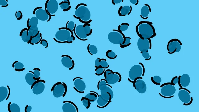 Ocean Blue leopard print background — free HD ocean blue color wallpaper 1920x1080