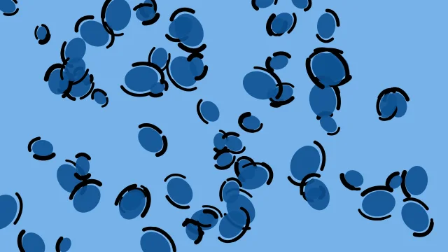 Ocean Deep leopard print background — free HD ocean deep color wallpaper 1920x1080
