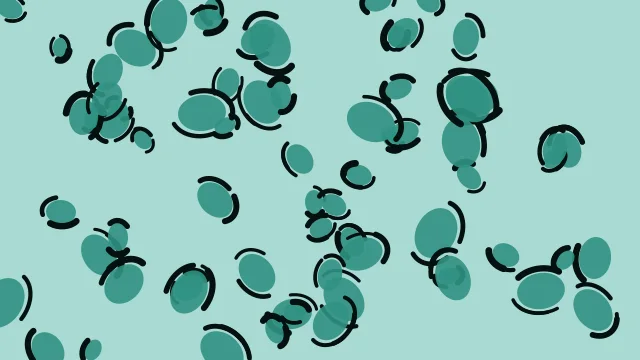 Ocean Mist leopard print background — free HD ocean mist color wallpaper 1920x1080