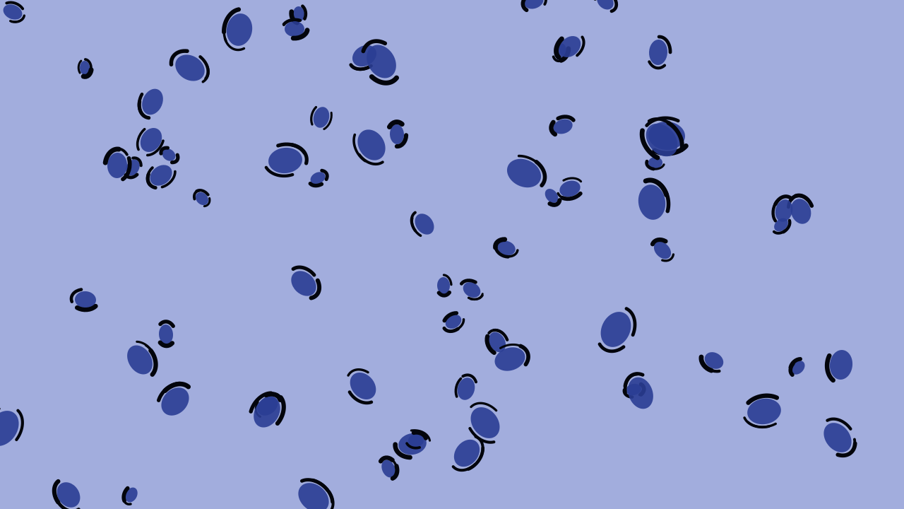 Ocean Twilight leopard print background — free HD ocean twilight color wallpaper 1920x1080