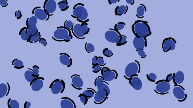 Ocean Twilight leopard print background — free HD ocean twilight color wallpaper 1920x1080