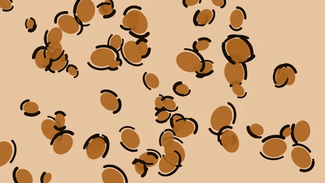 Ochre leopard print background — free HD ochre color wallpaper 1920x1080