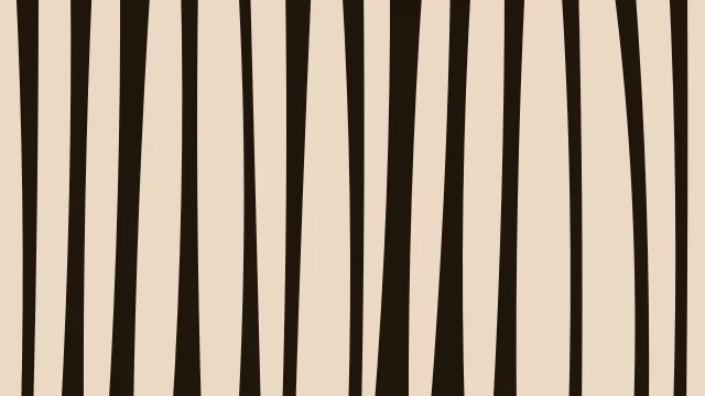Ochre zebra print background — free HD ochre color wallpaper 1920x1080