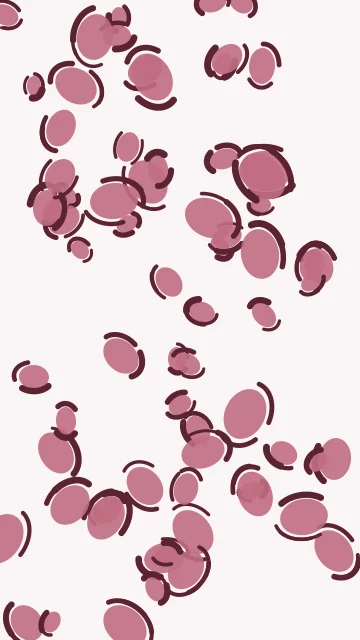 Old Rose leopard phone wallpaper — free HD old rose mobile wallpaper 1080x1920