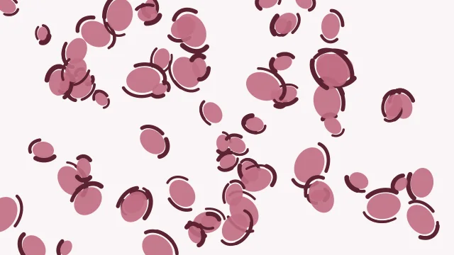 Old Rose leopard desktop wallpaper — free 4K old rose wallpaper 3840x2160