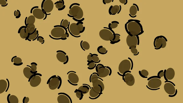 Olive Bark leopard print background — free HD olive bark color wallpaper 1920x1080