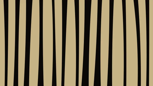 Olive Bark zebra print background — free HD olive bark color wallpaper 1920x1080