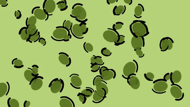 Olive Drab leopard desktop wallpaper — free 4K olive drab wallpaper 3840x2160