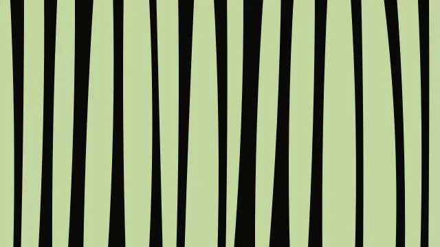 Olive Drab zebra desktop wallpaper — free 4K olive drab wallpaper 3840x2160