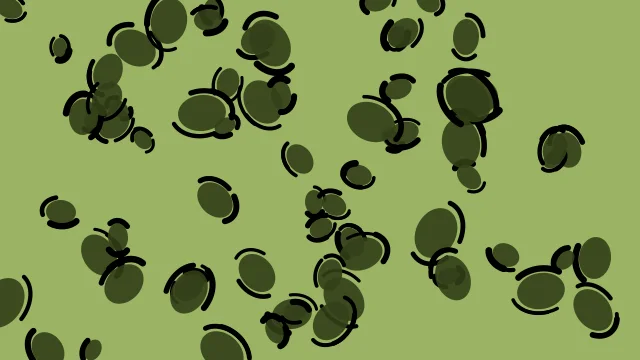 Olive Leaf leopard print background — free HD olive leaf color wallpaper 1920x1080