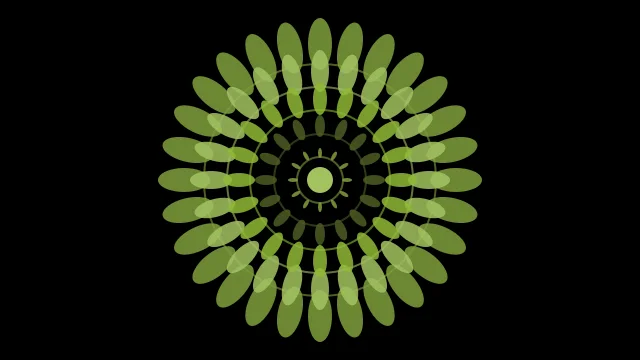 Olive Leaf mandala background — free HD olive leaf color wallpaper 1920x1080