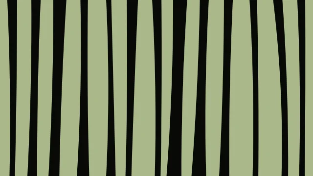 Olive Leaf zebra print background — free HD olive leaf color wallpaper 1920x1080