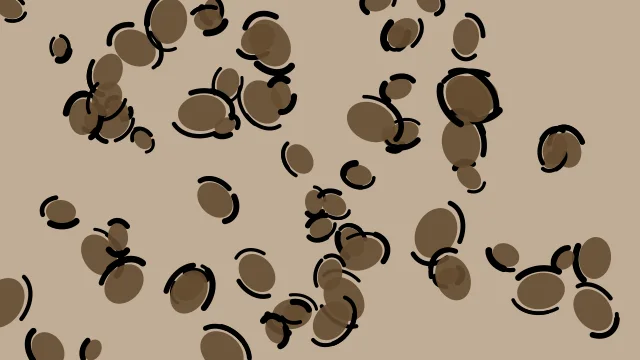 Olive Wood leopard print background — free HD olive wood color wallpaper 1920x1080