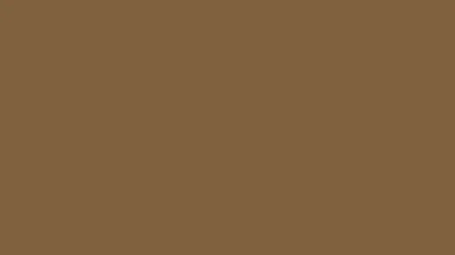 Olive Wood plain solid background — free HD olive wood color wallpaper 1920x1080