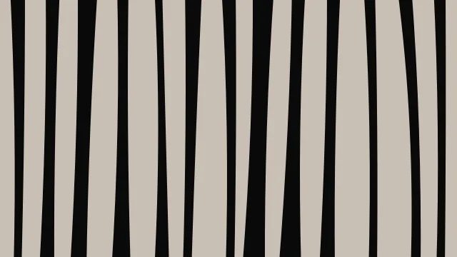 Olive Wood zebra print background — free HD olive wood color wallpaper 1920x1080