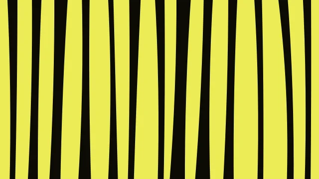 Olive zebra desktop wallpaper — free 4K olive wallpaper 3840x2160