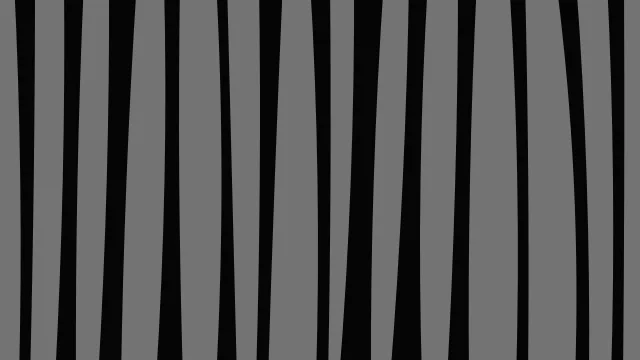Onyx zebra print background — free HD onyx color wallpaper 1920x1080