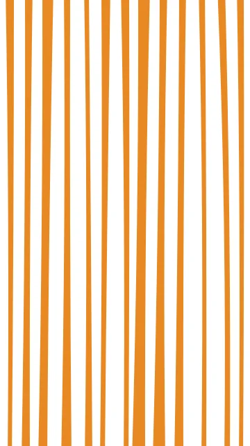 Orange 100 zebra phone wallpaper — free HD orange 100 mobile wallpaper 1080x1920