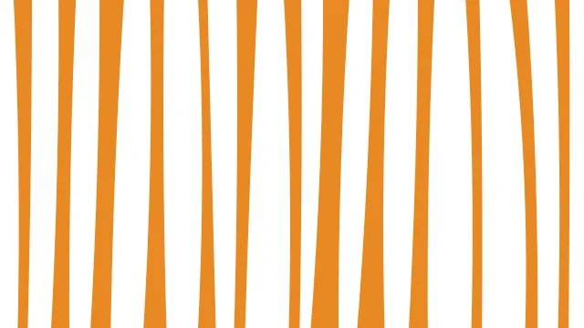 Orange 100 zebra print background — free HD orange 100 color wallpaper 1920x1080