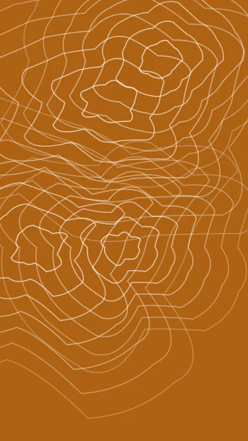 Orange 200 topographic phone wallpaper — free HD orange 200 mobile wallpaper 1080x1920