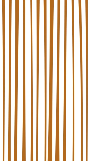 Orange 200 zebra phone wallpaper — free HD orange 200 mobile wallpaper 1080x1920
