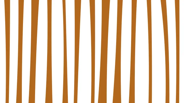 Orange 200 zebra print background — free HD orange 200 color wallpaper 1920x1080