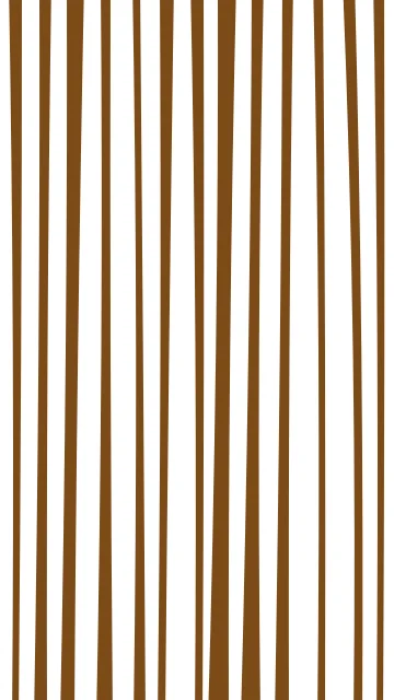 Orange 300 zebra phone wallpaper — free HD orange 300 mobile wallpaper 1080x1920