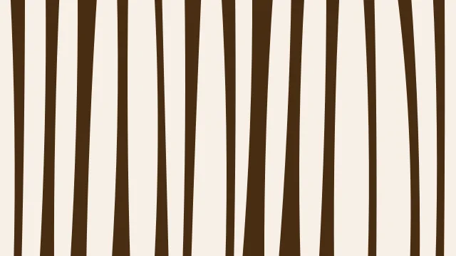 Orange 400 zebra desktop wallpaper — free 4K orange 400 wallpaper 3840x2160