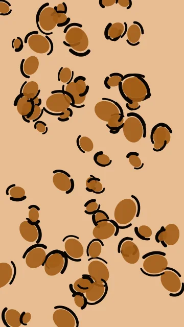 Orange 500 leopard phone wallpaper — free HD orange 500 mobile wallpaper 1080x1920