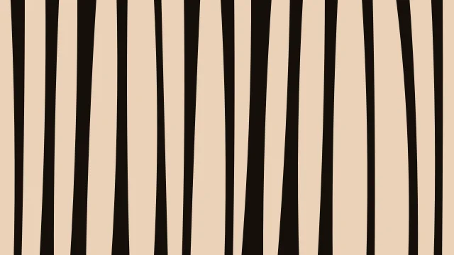 Orange 500 zebra desktop wallpaper — free 4K orange 500 wallpaper 3840x2160