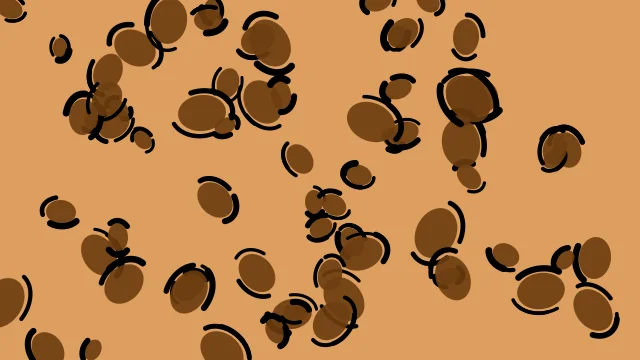 Orange 600 leopard desktop wallpaper — free 4K orange 600 wallpaper 3840x2160