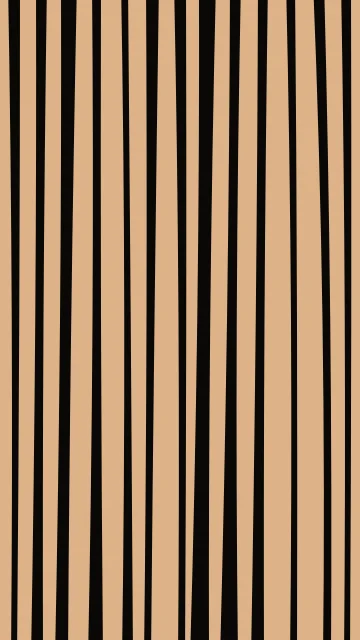 Orange 600 zebra phone wallpaper — free HD orange 600 mobile wallpaper 1080x1920