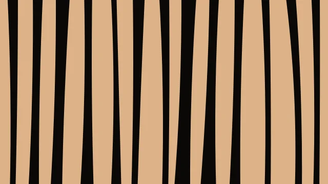 Orange 600 zebra desktop wallpaper — free 4K orange 600 wallpaper 3840x2160