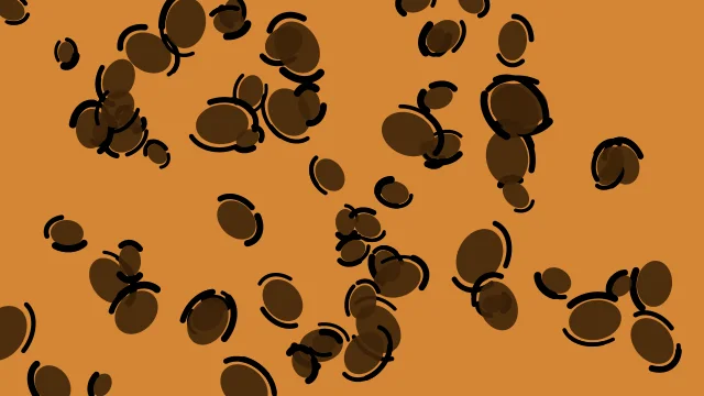 Orange 700 leopard print background — free HD orange 700 color wallpaper 1920x1080