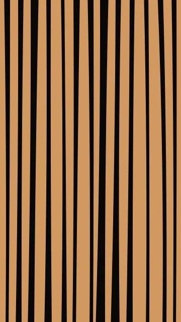 Orange 700 zebra phone wallpaper — free HD orange 700 mobile wallpaper 1080x1920