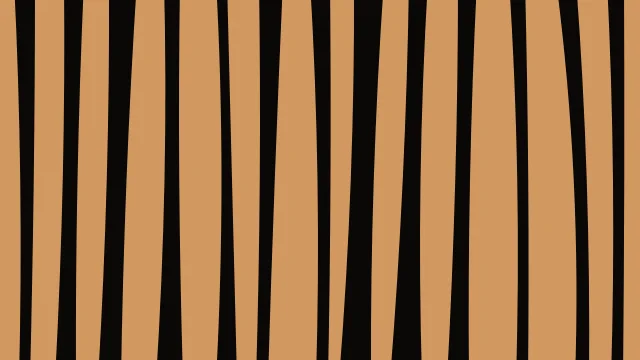 Orange 700 zebra print background — free HD orange 700 color wallpaper 1920x1080