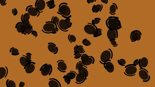 Orange 800 leopard print background — free HD orange 800 color wallpaper 1920x1080